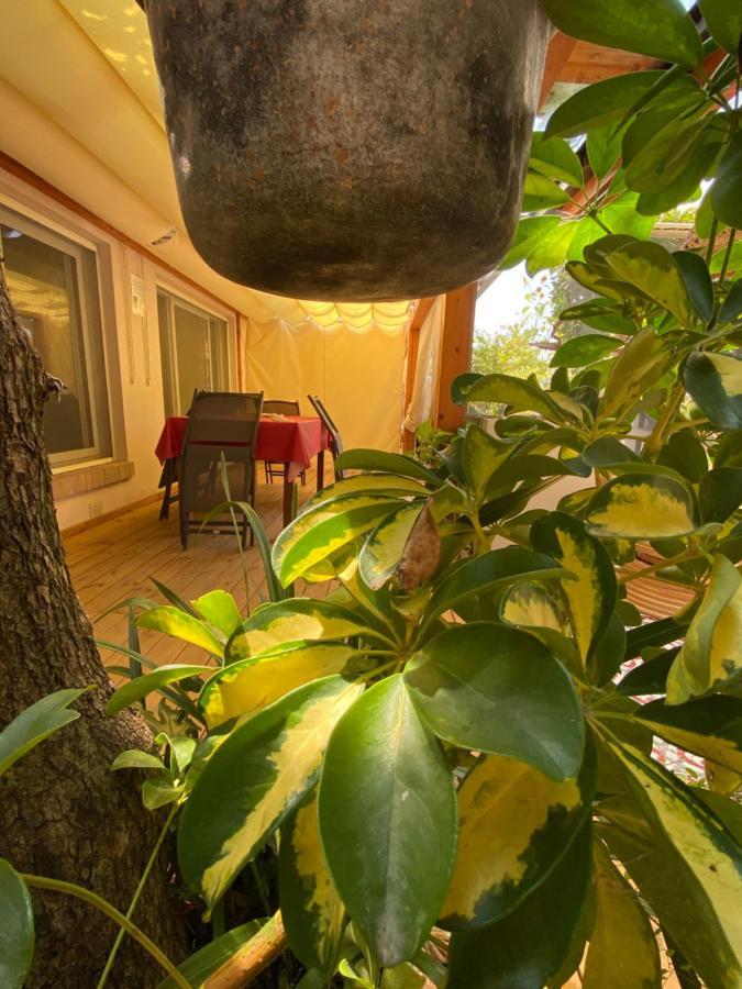 Ancora Bilocale Villa Marina di Massa Exterior photo